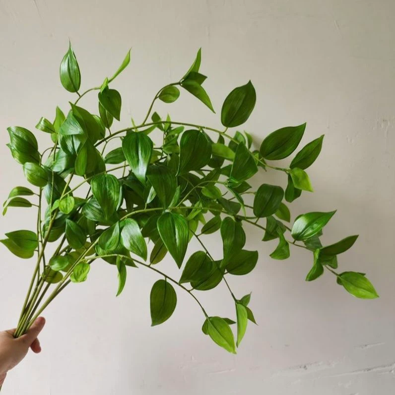 Green artificial Italian ruscus branches with pointed leaves