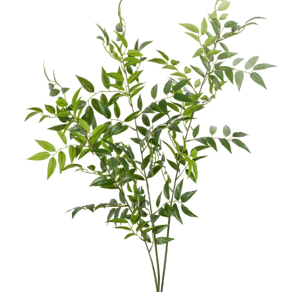 Green artificial foliage branches with pointed leaves against a white background