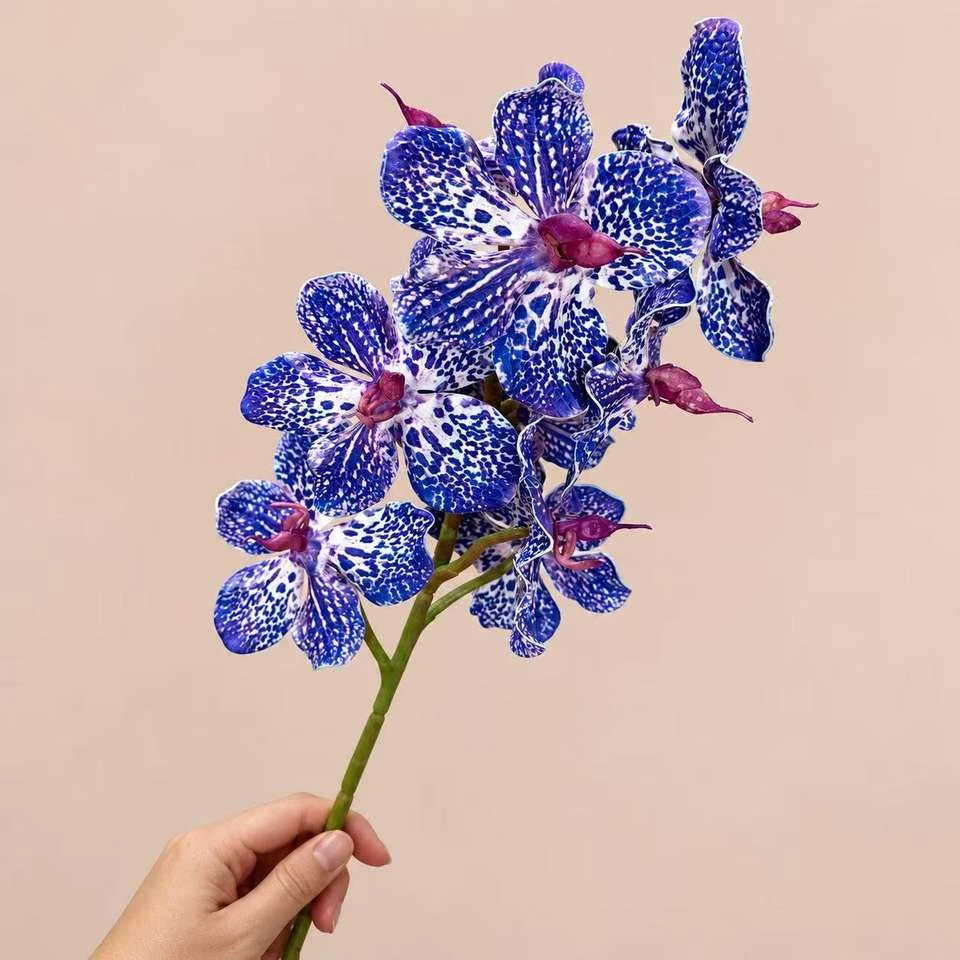 Blue artificial Vanda-style orchid flowers with pale spotted petals on a stem